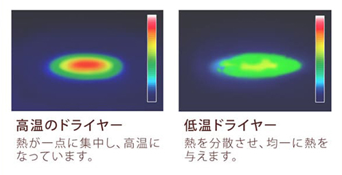 抜け毛の原因はドライヤーの熱 知っておきたいドライヤーの新常識 ふんわり美人